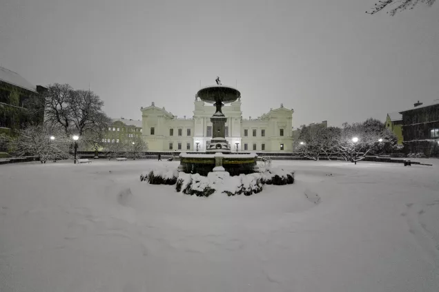 The fountain outside the University building in snow. Photo.