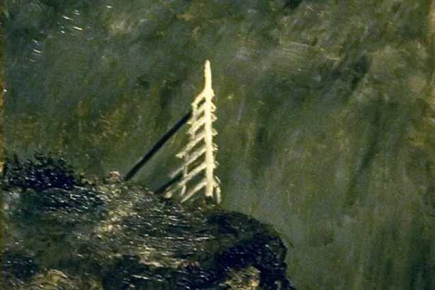 The painting the White Mare II by August Strindberg 