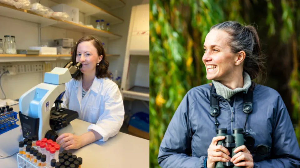 Two people, one with a microscope, one with binoculars. Collage.