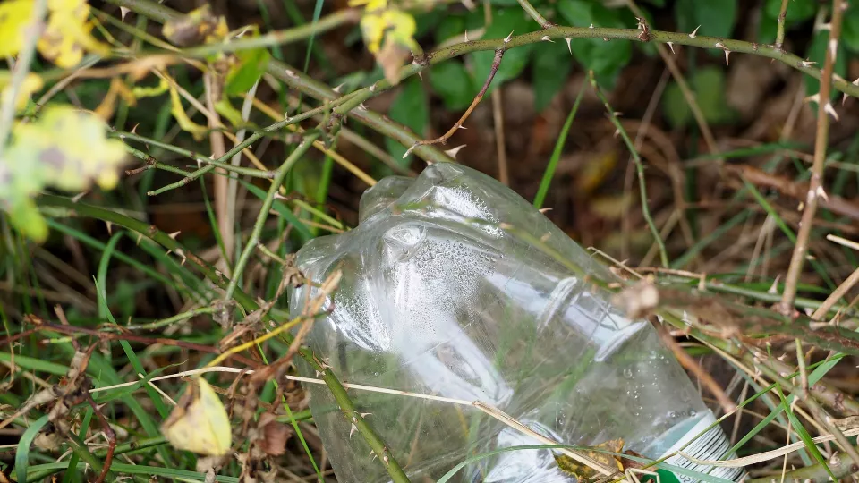 plastic bottle in nature. Photo.