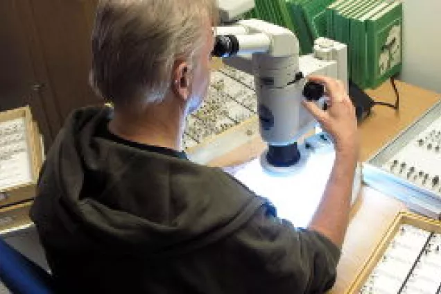 A person is sitting looking in a microscope. Photo.