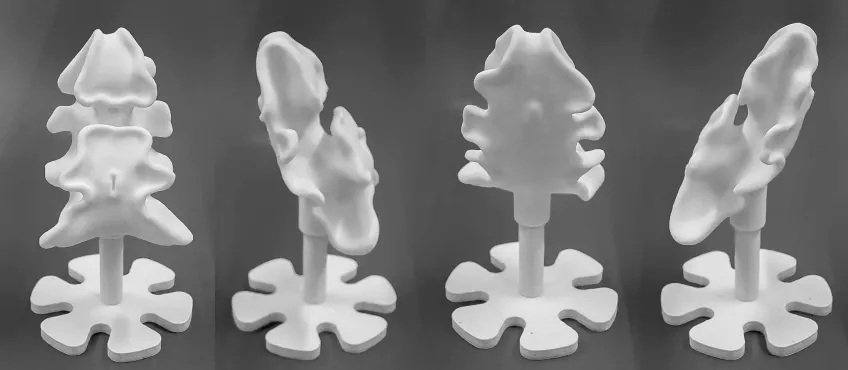Four 3D models of wax models. Photo.