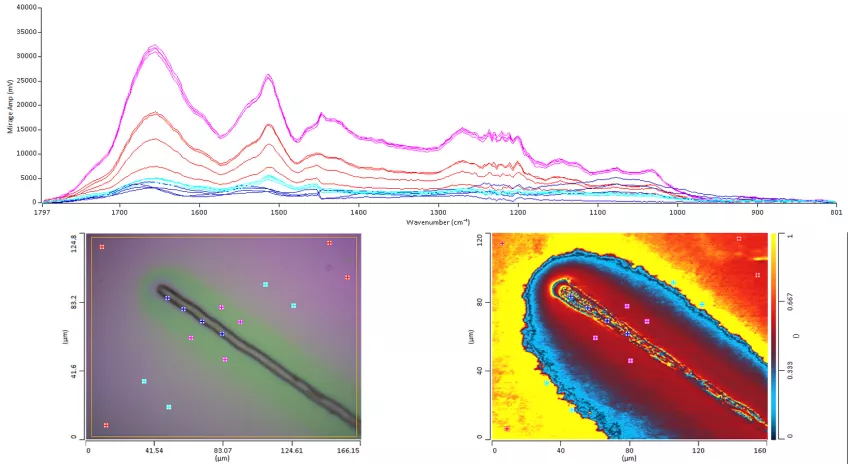 Graphs generated by a IR-spectroscope.