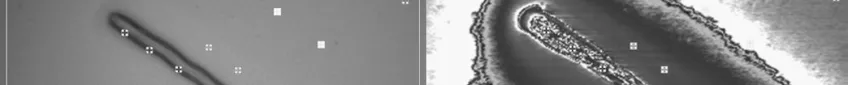 Part of IR spectroscopy photo.