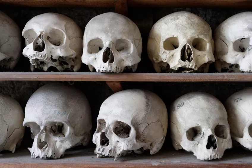 Human skulls on a shelf. Photo.
